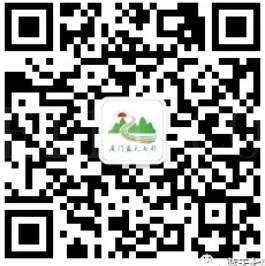 广州超火森林营地，1.5小时车程，体验丛林野奢，一票畅玩N个亲子项目！